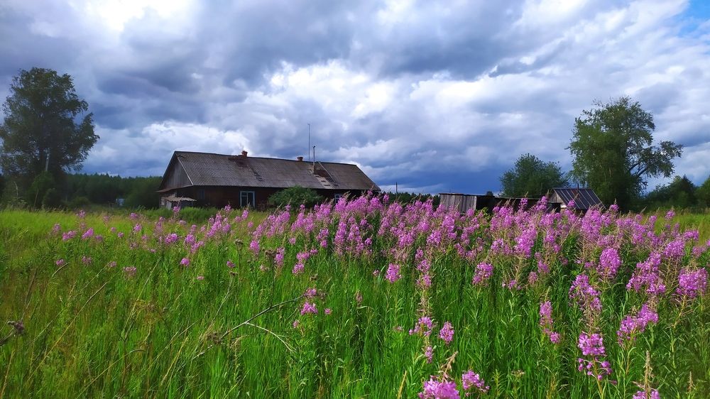 Photograph by Елена Смирнова