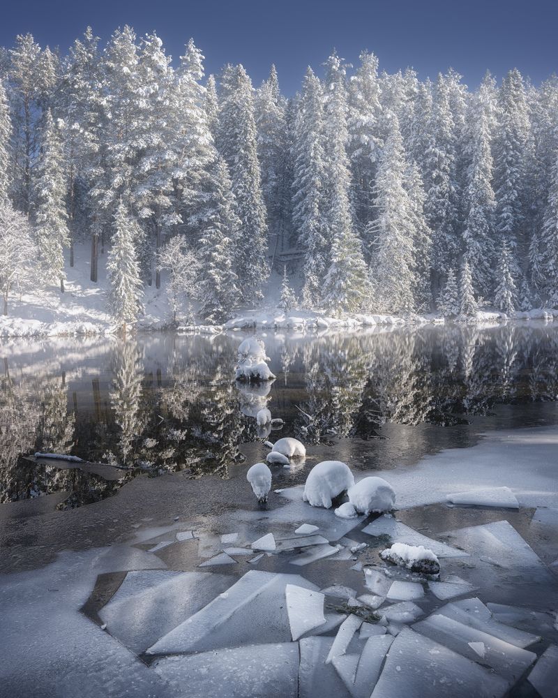 Фотография автора Dmitry Medyancev