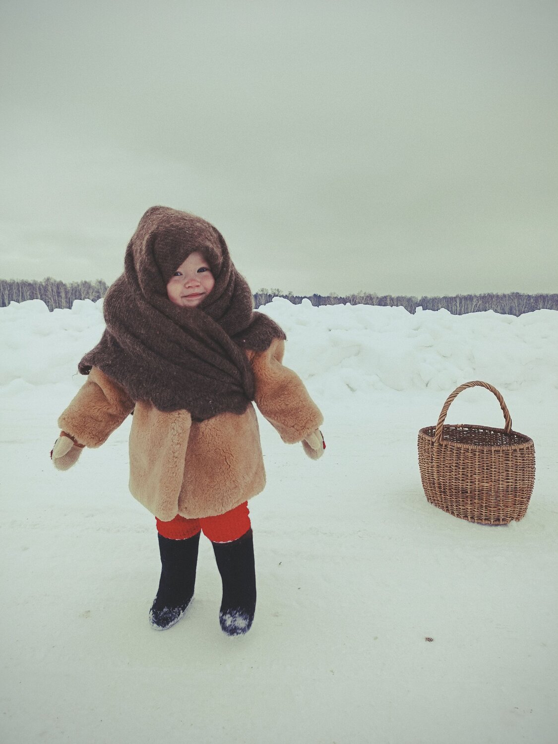 Photo #10224315