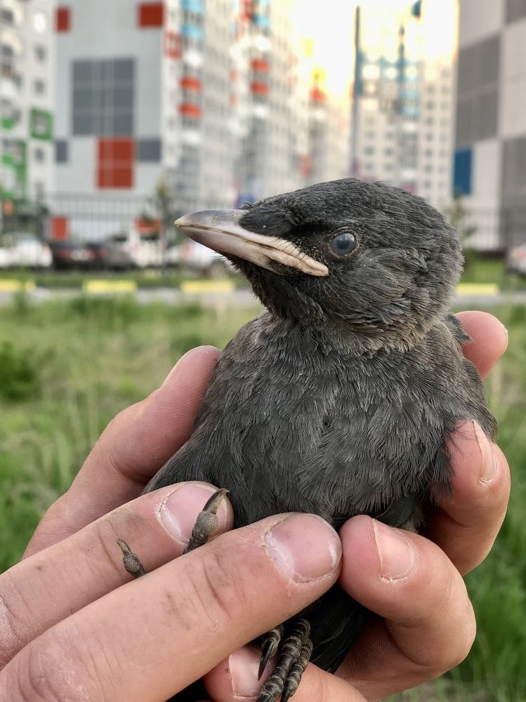 Фотография автора Евгения Елисеева