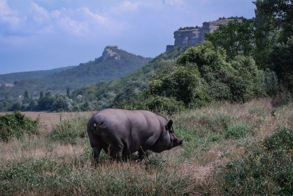 Photograph by Юрий Гаврилов