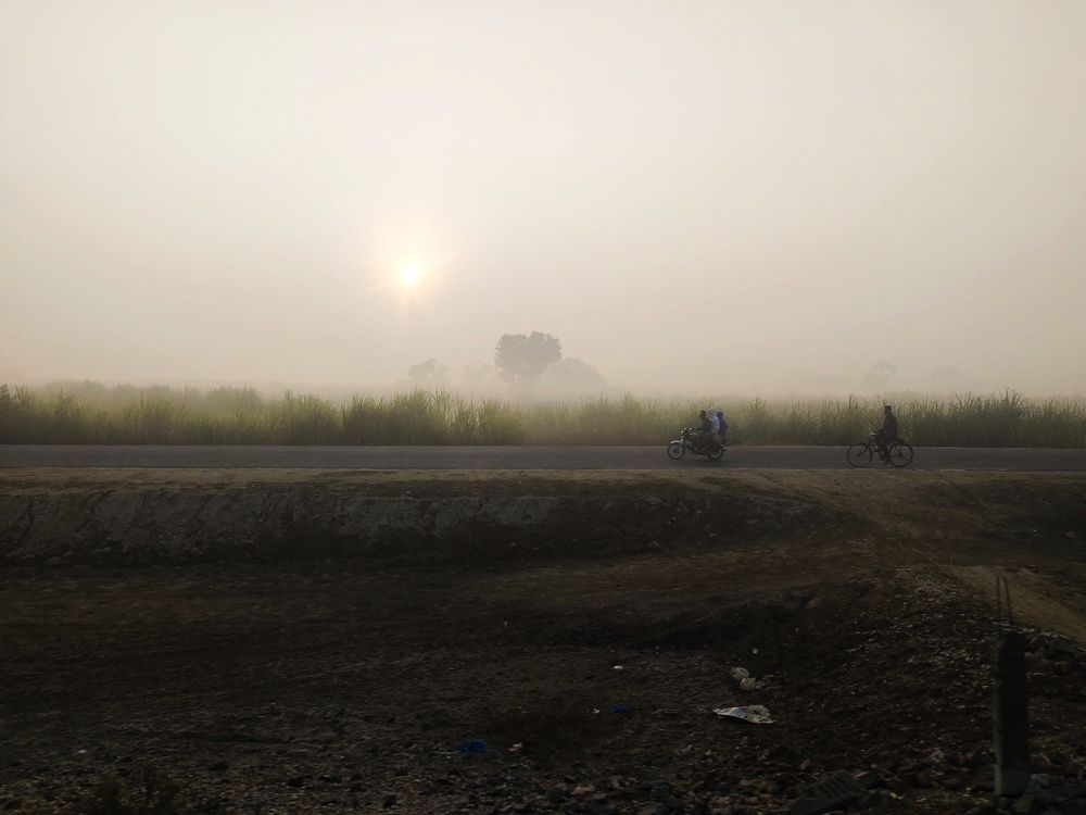 Photo #10224393