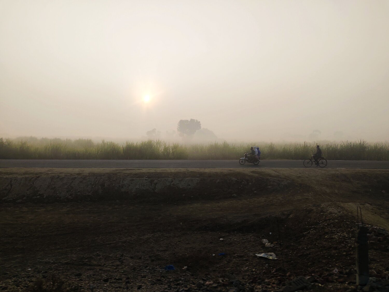 Photo #10224393