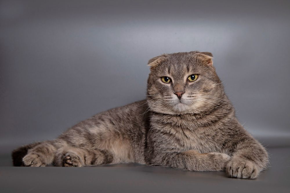 Photograph by Анастасия Рысь