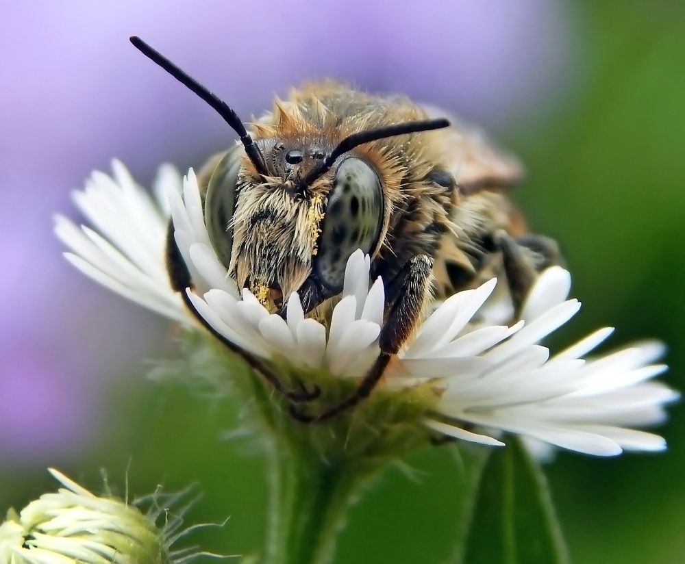 Нелетная погода