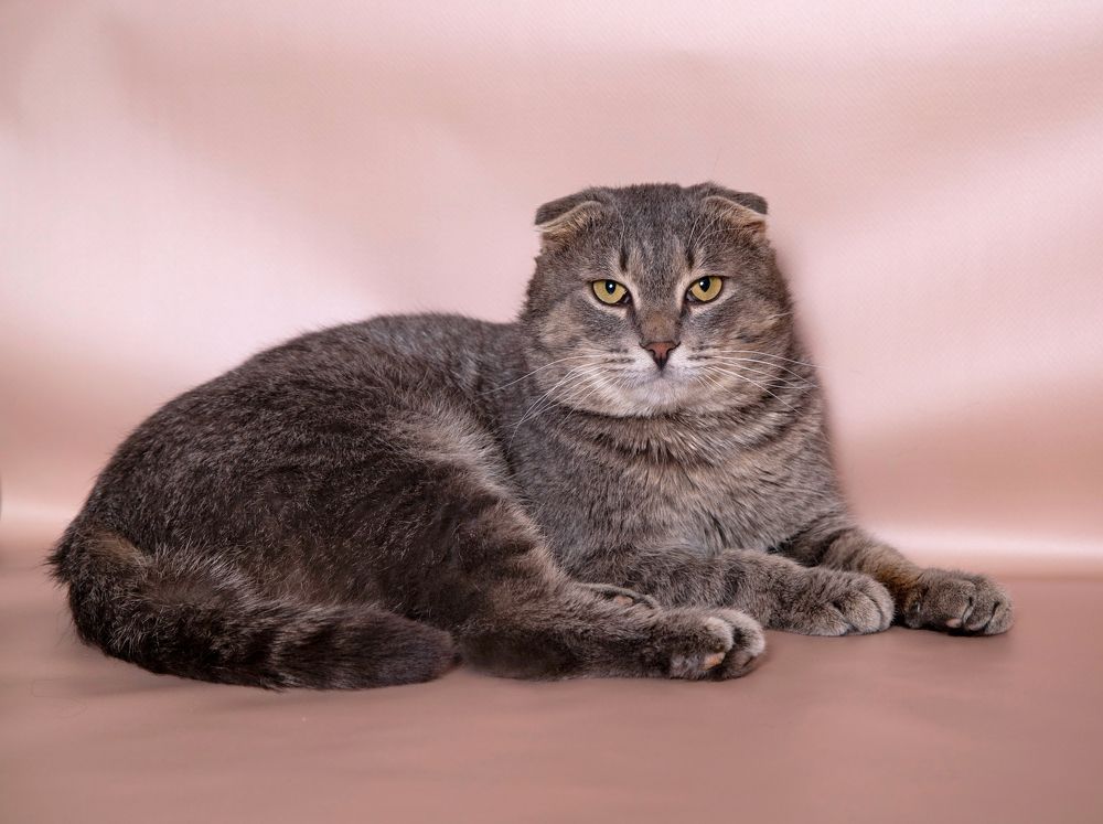 Photograph by Анастасия Рысь