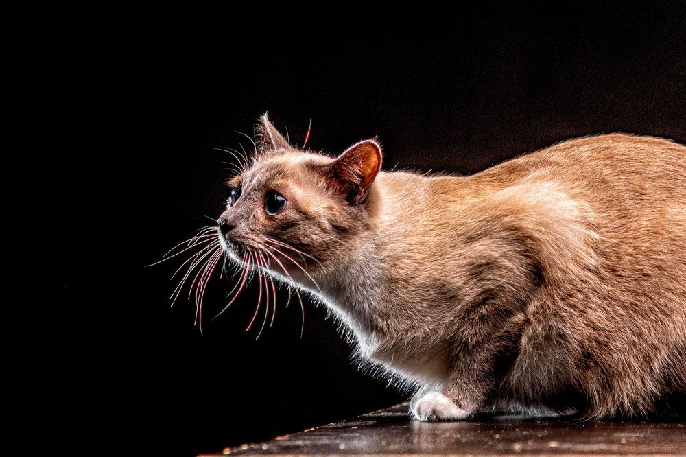 Photograph by Sergey Rygin