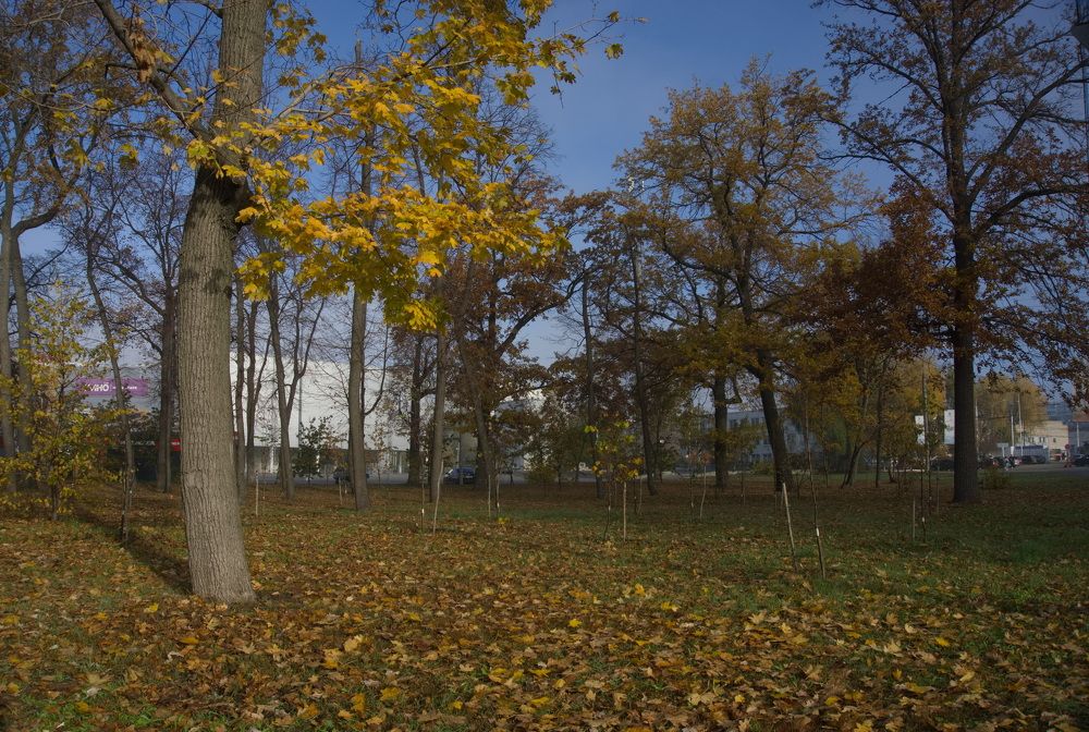 Photograph by Ирина Милонова