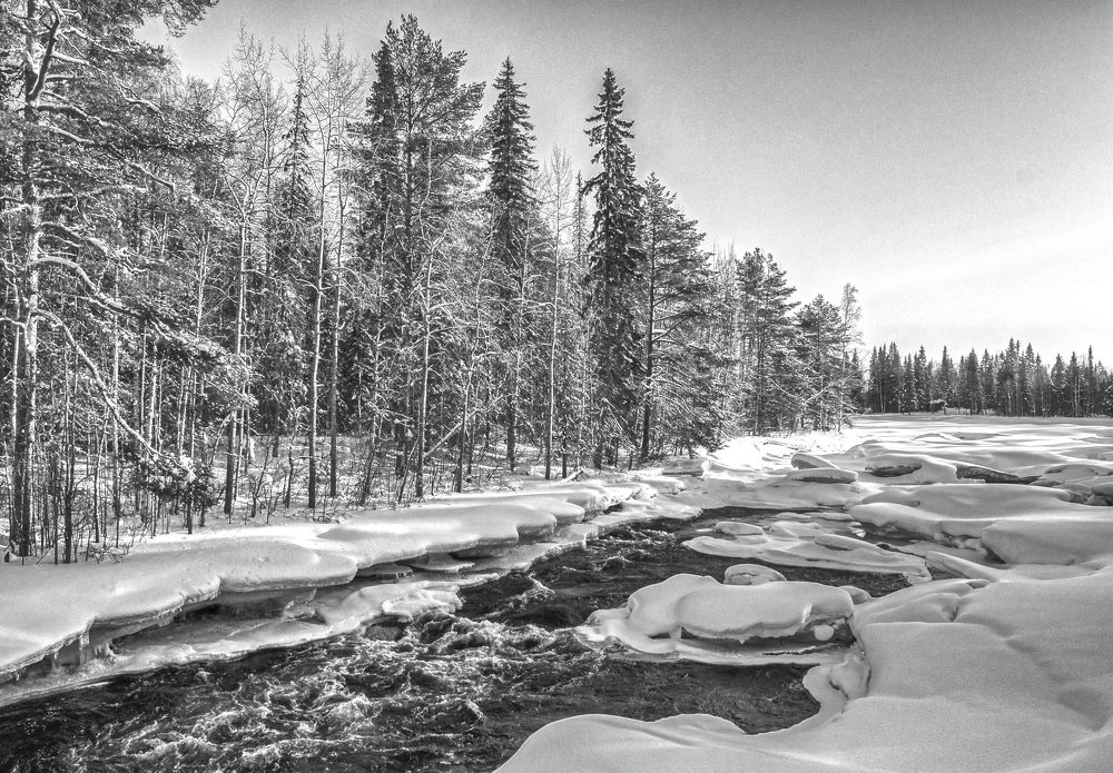 Photograph by Klimenko Tatyana