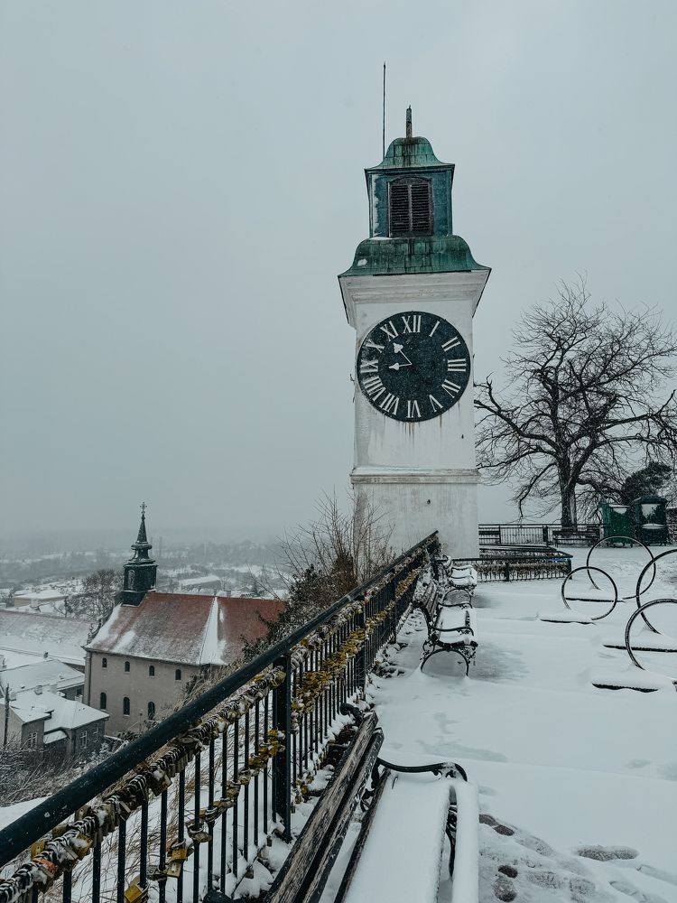 Photograph by Marianna Zakirova