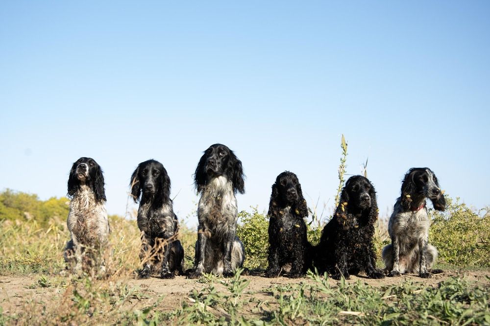 Фотография автора Максим