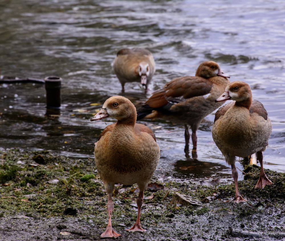 Photograph by Nicole Maria Oestreich