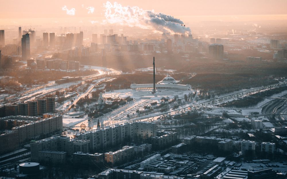 Rare guest in winter