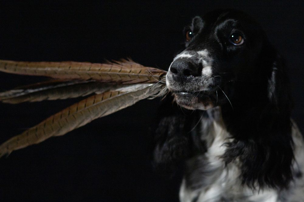 Фотография автора Максим