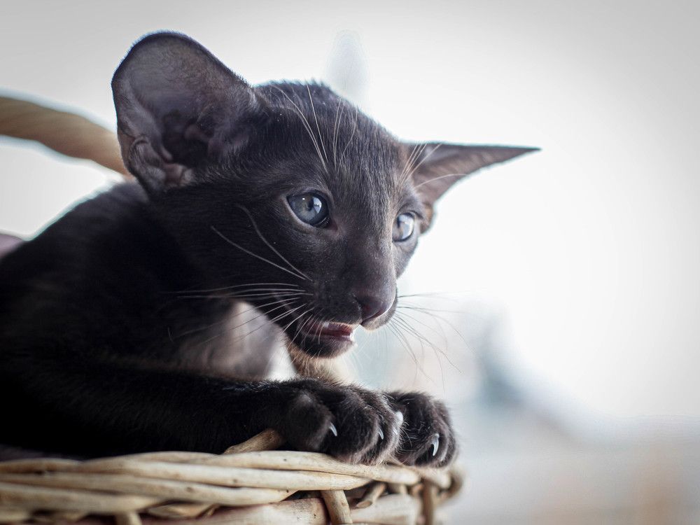 Photograph by Зоя Коробенко