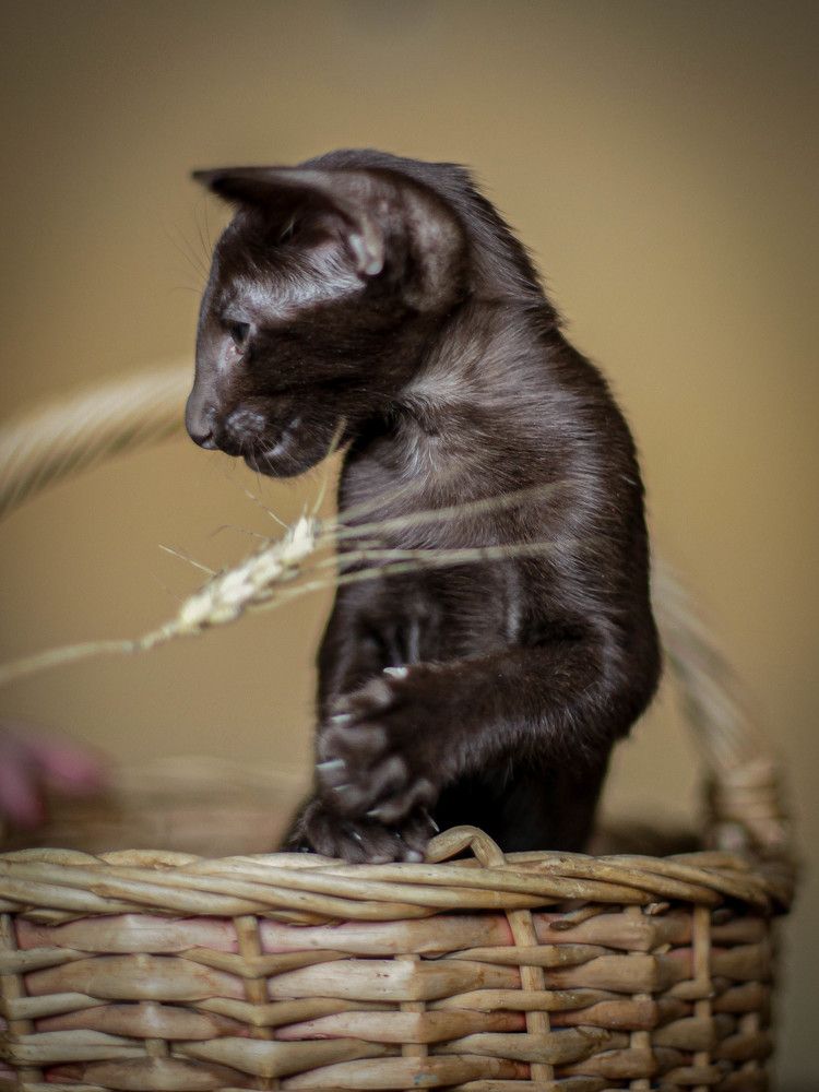 Photograph by Зоя Коробенко