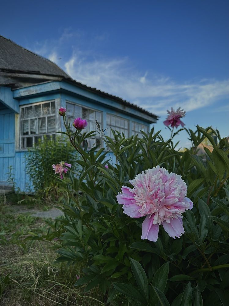 Фотография автора Юлия Косинова