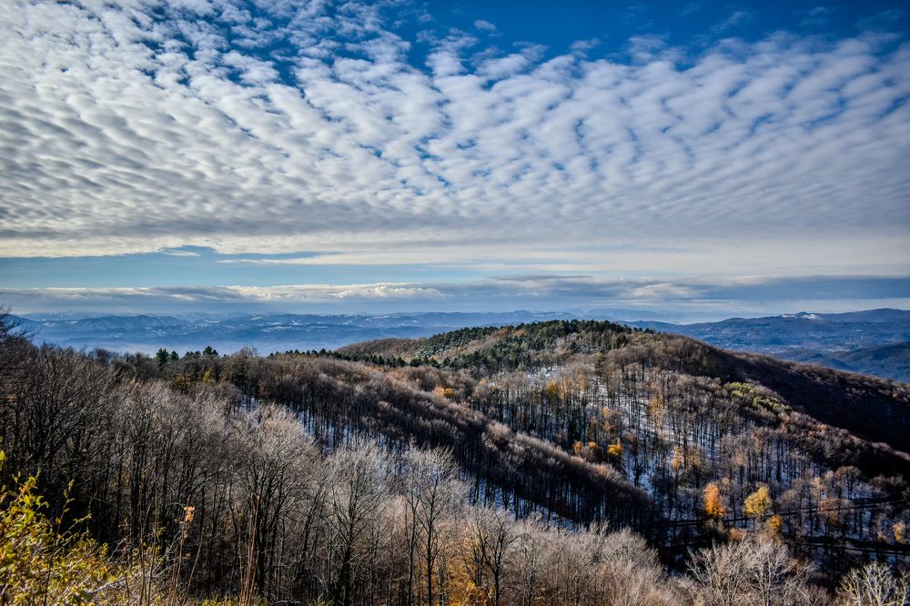 Photograph by Ђорђевић Милан