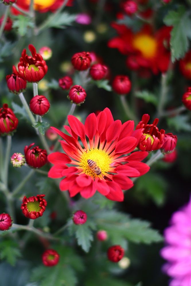 Photograph by Jonna Sabenorio