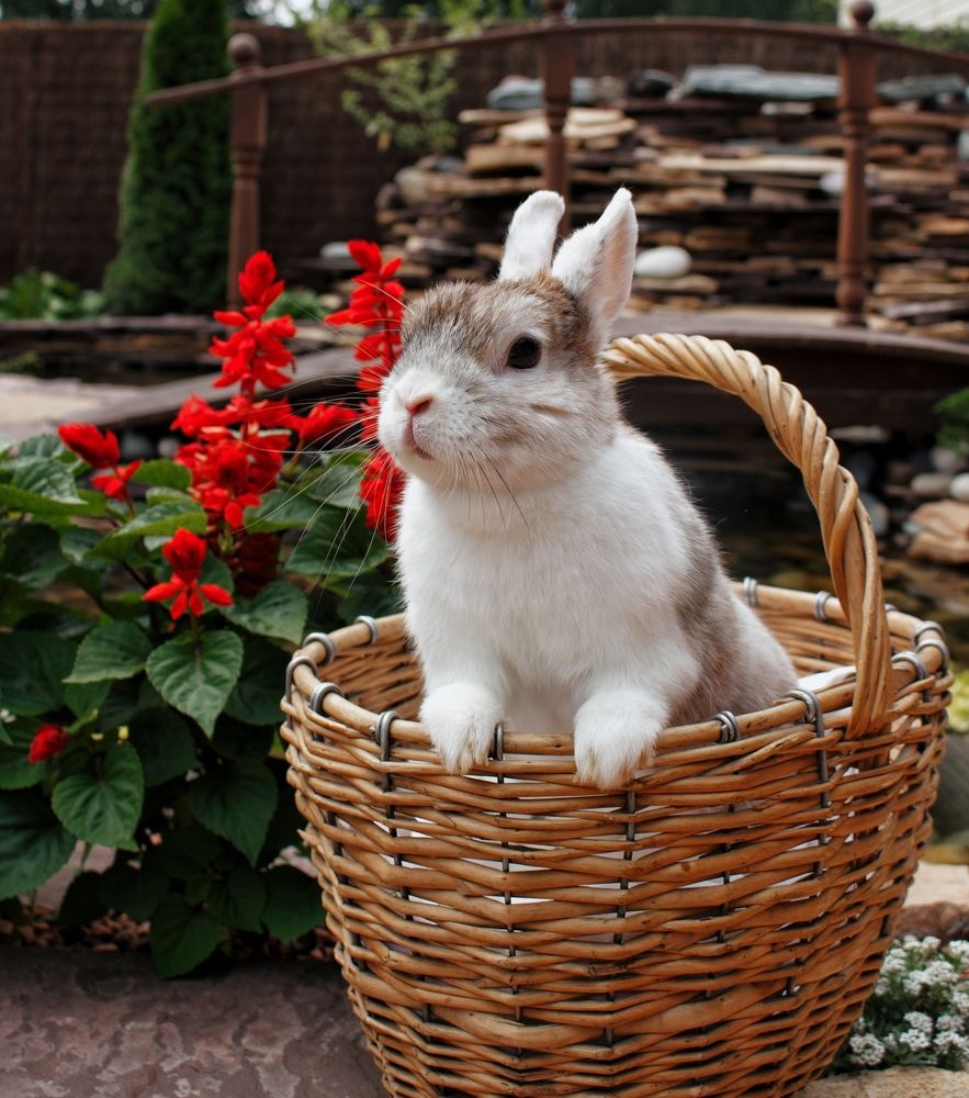 Photograph by Anastasia Anikina