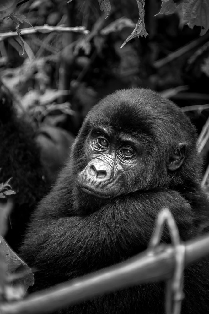 Photograph by Sara Fernandes