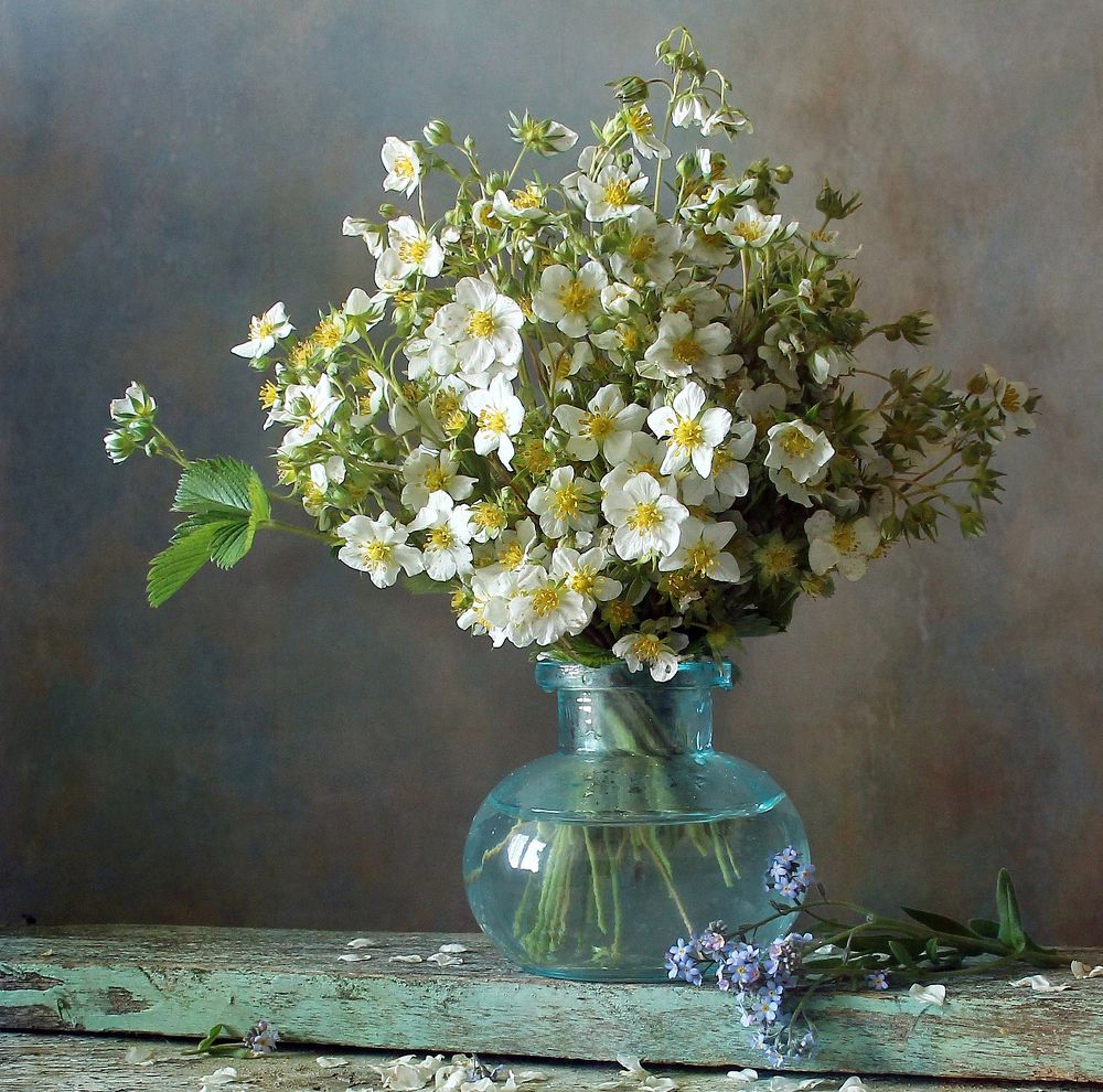 Как прекрасны первоцветы