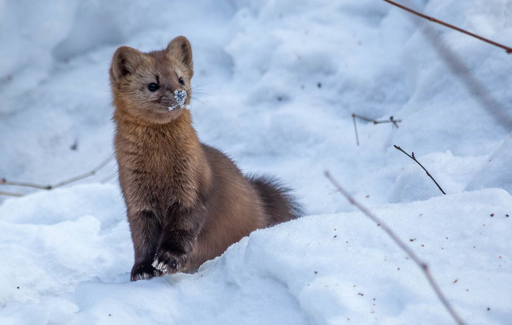 Photograph by Толян Бууулочкин