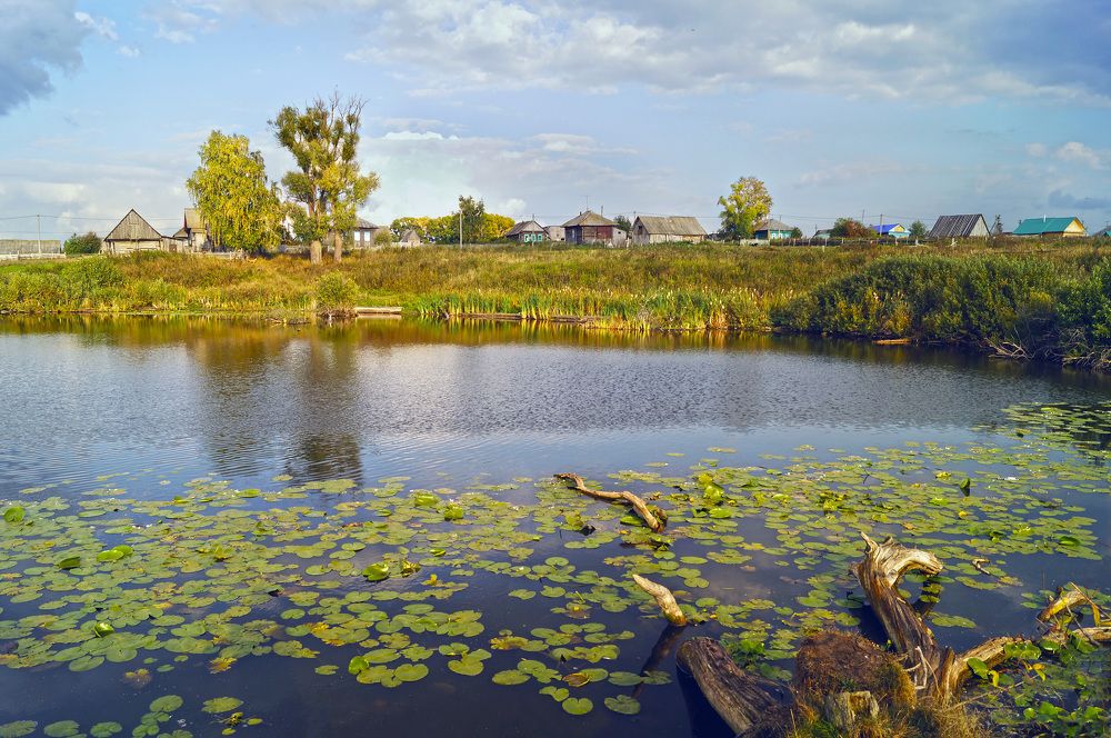 Photograph by Мишустина Татьяна