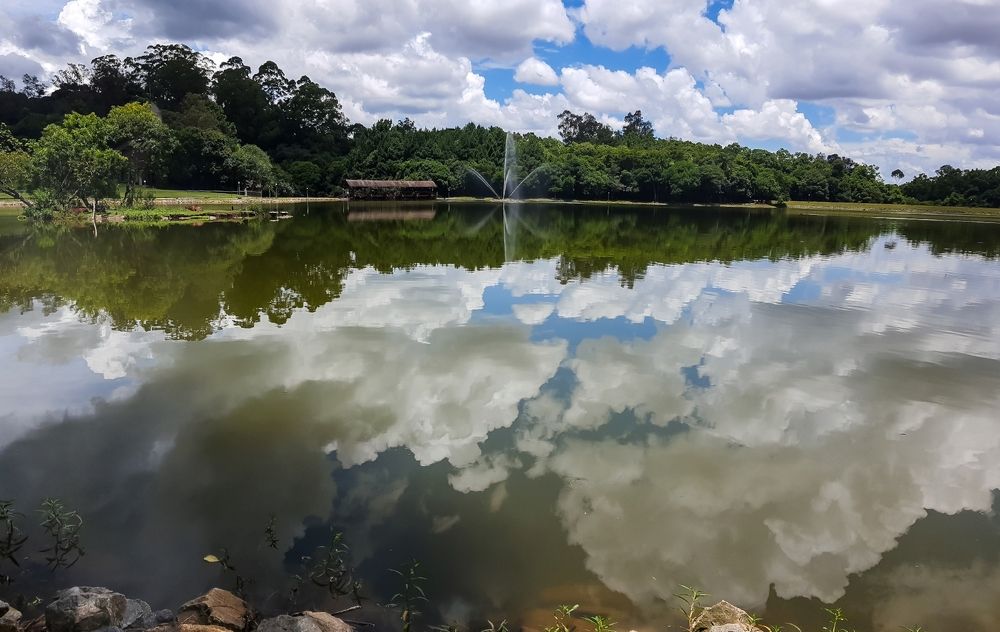 Photograph by adriana menez