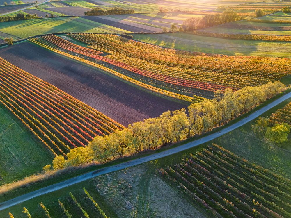 Фотография автора Adam Kováč