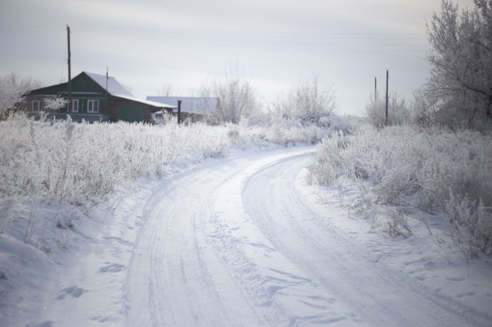 Photograph by ЕВГЕНИЙ СКАЛОЗУБОВ
