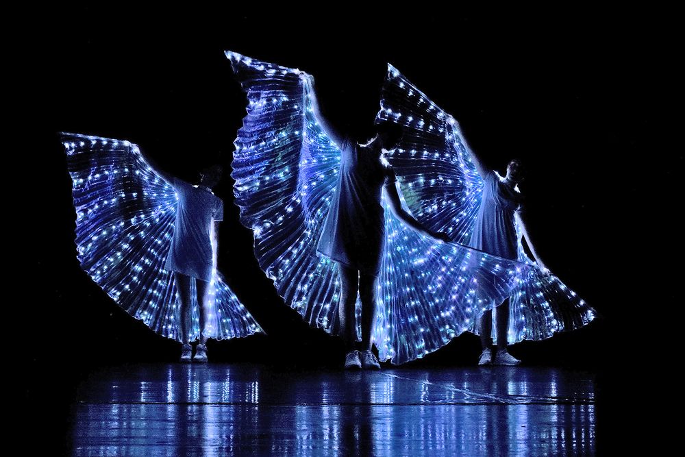 Крылья не мои