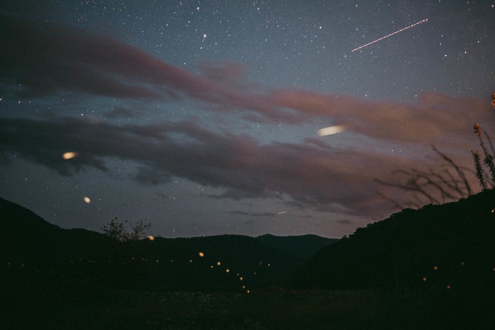 Photograph by Margarita