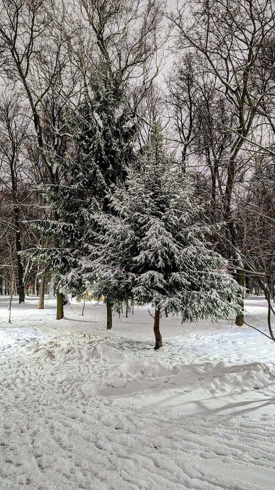 Фотография автора Герман Крючков