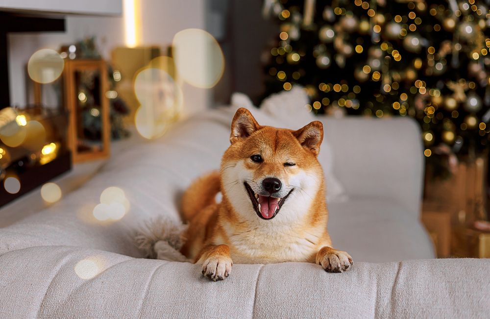 Photograph by Олеся Рыжкова