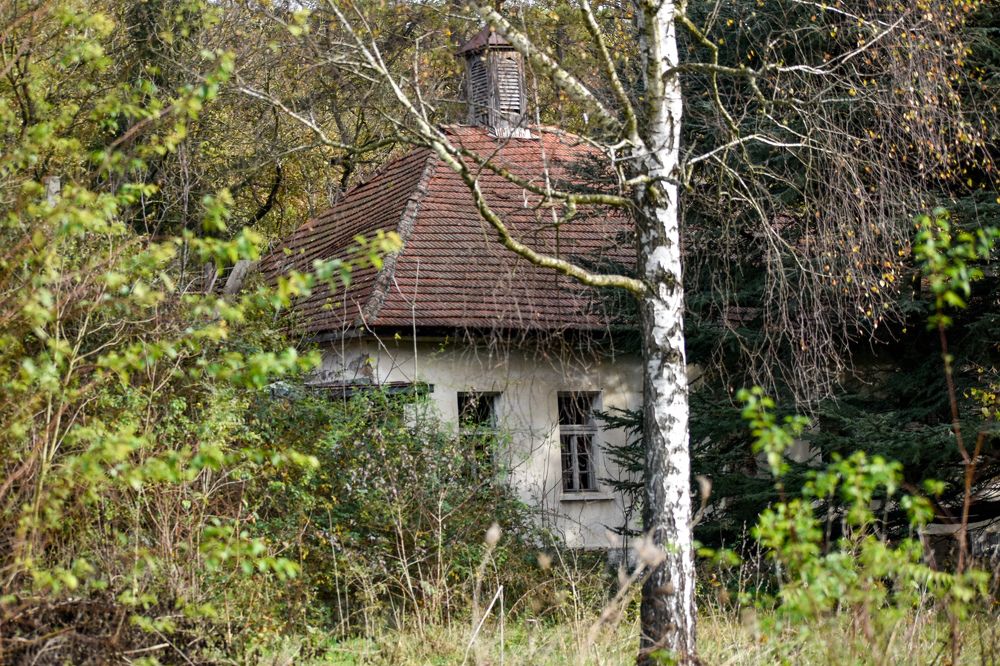 Photograph by Ђорђевић Милан