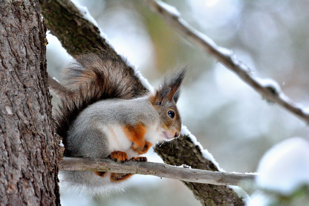 Photograph by Александр Зуев