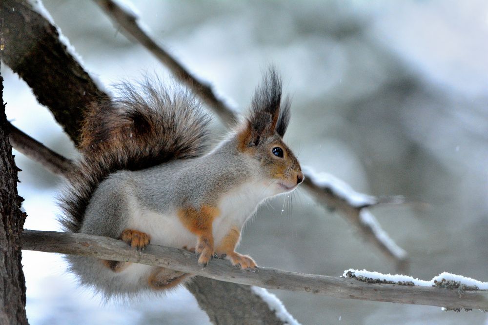 Photograph by Александр Зуев