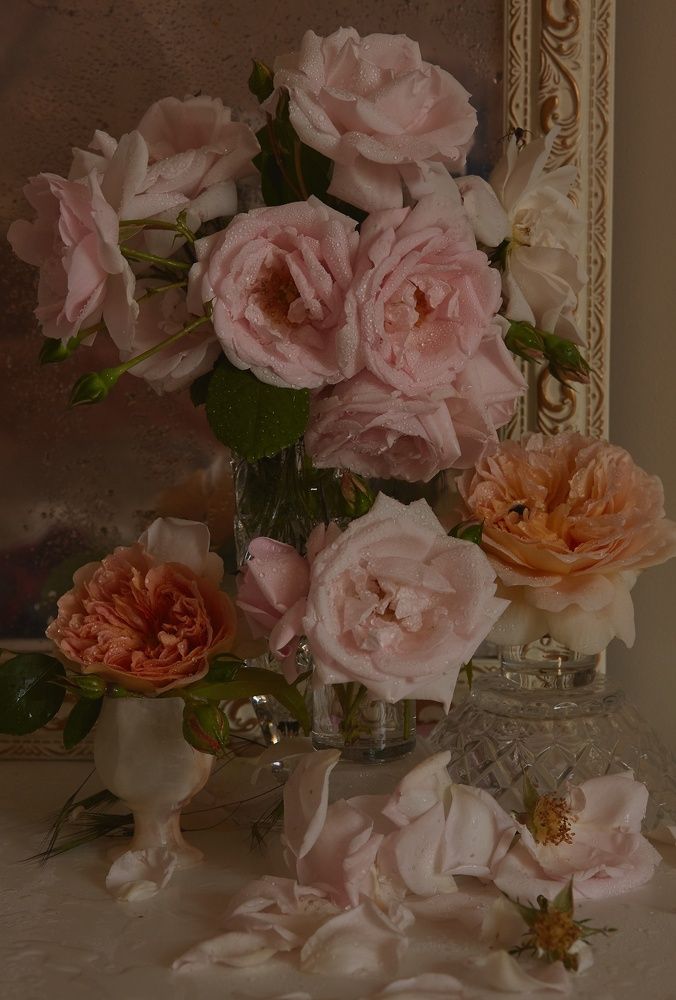 Photograph by Елена Звягина