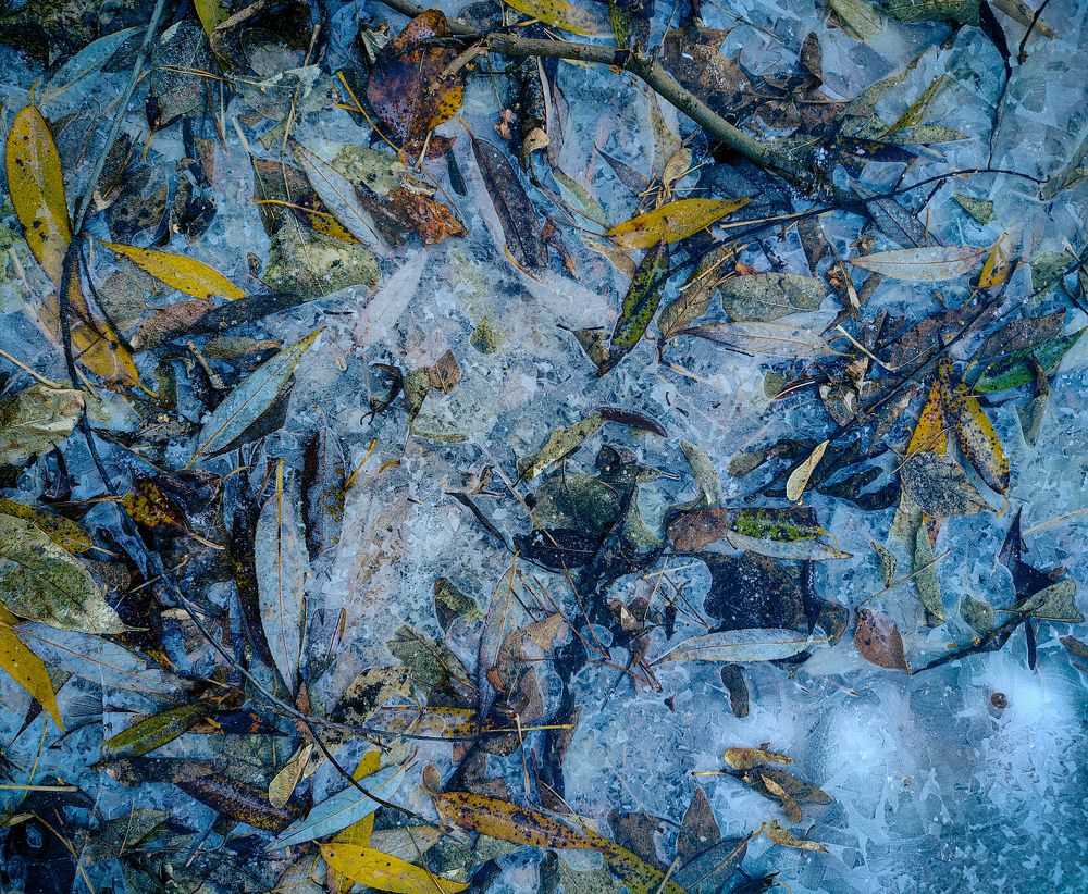 Texture of late automn