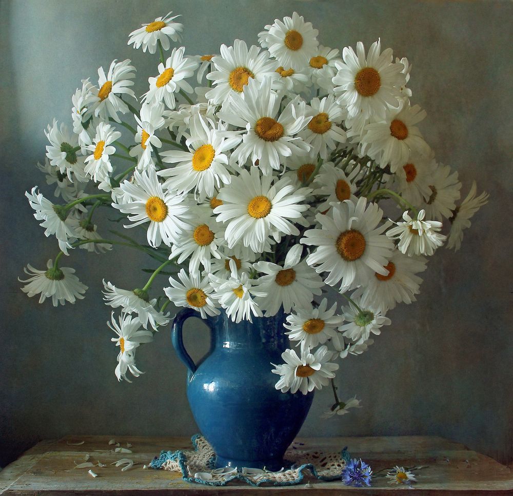 Ромашки нежные создания