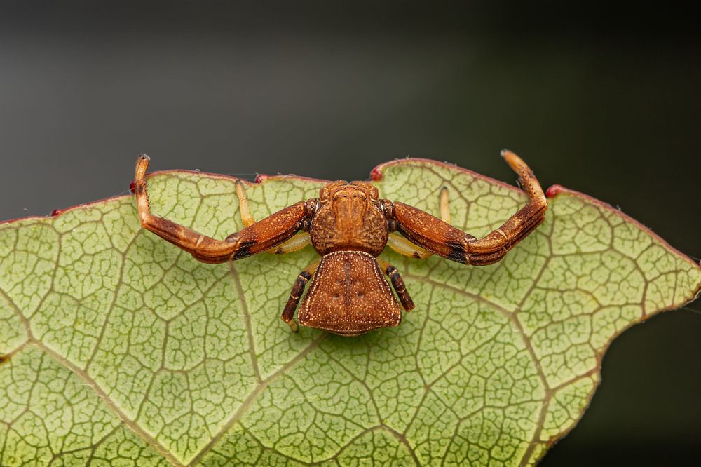 Фотография автора Виталий Сурков