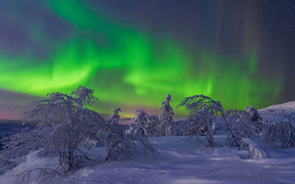 Photograph by Мика Петров