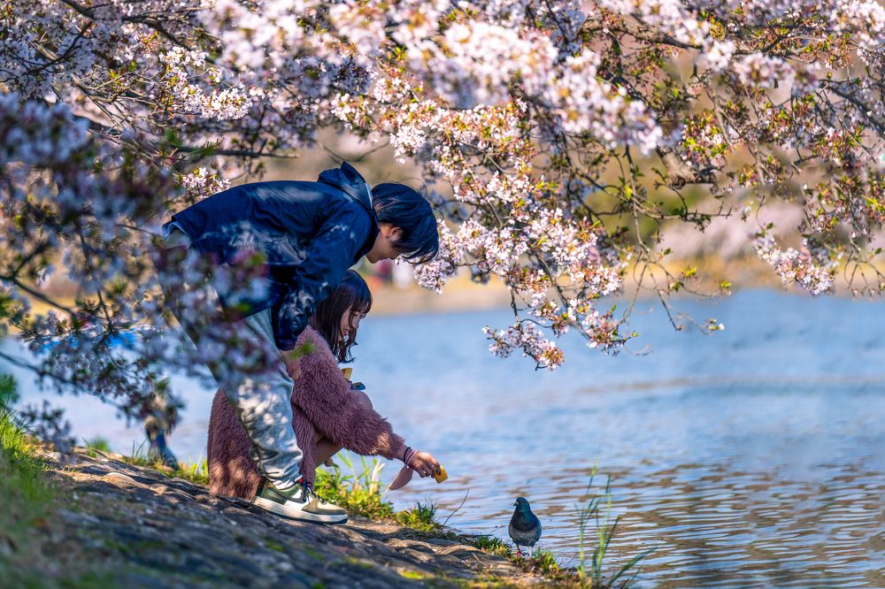 Фотография автора Viduranga Shan