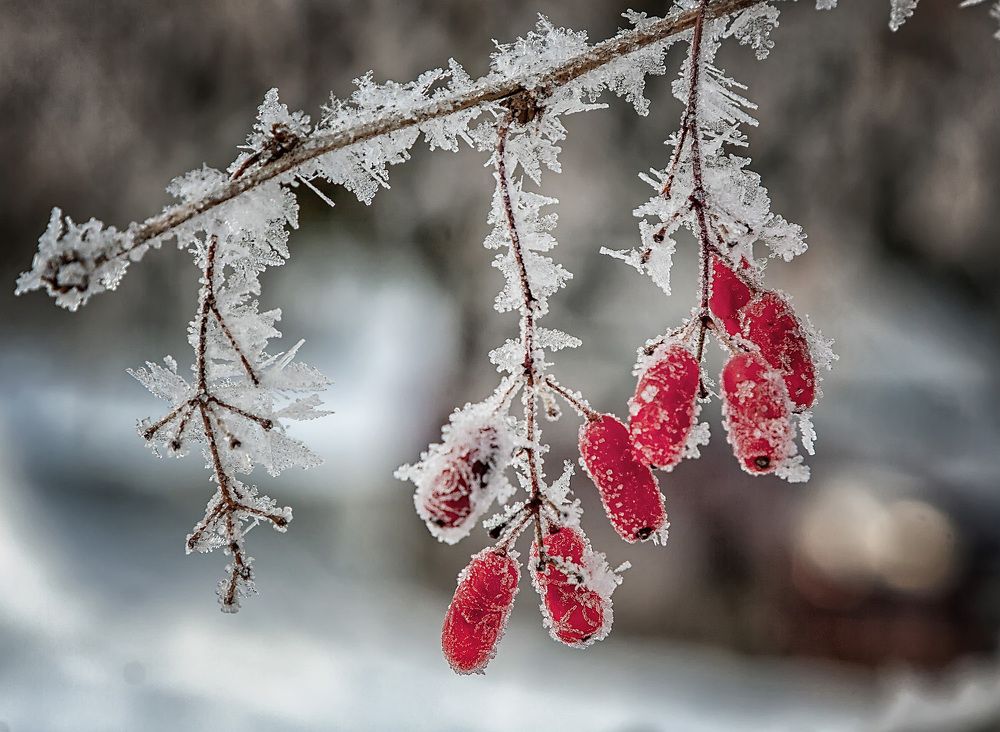 Photograph by Владимир Архипов