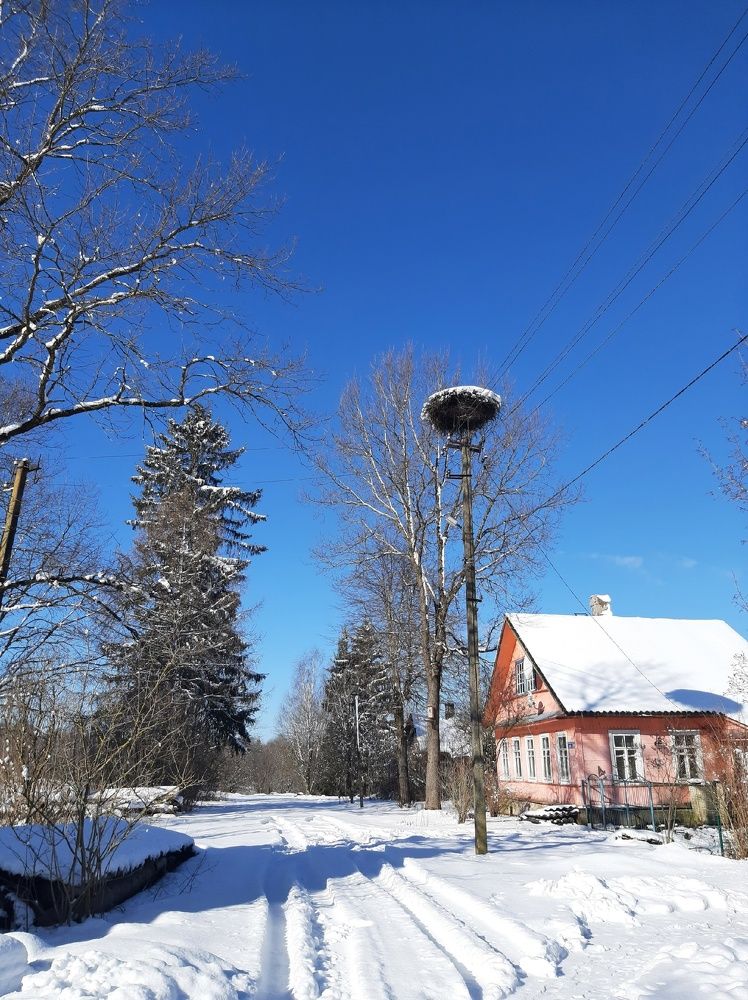 Photograph by Анастасия Юдина