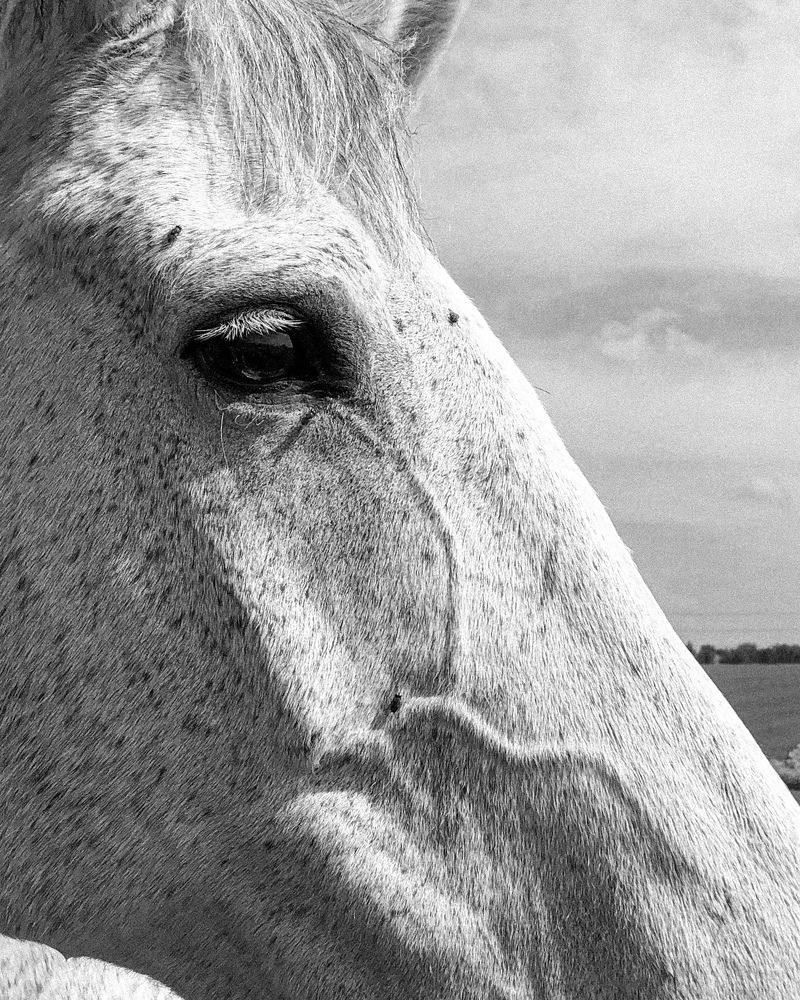 Photograph by Zinaida Sassarini