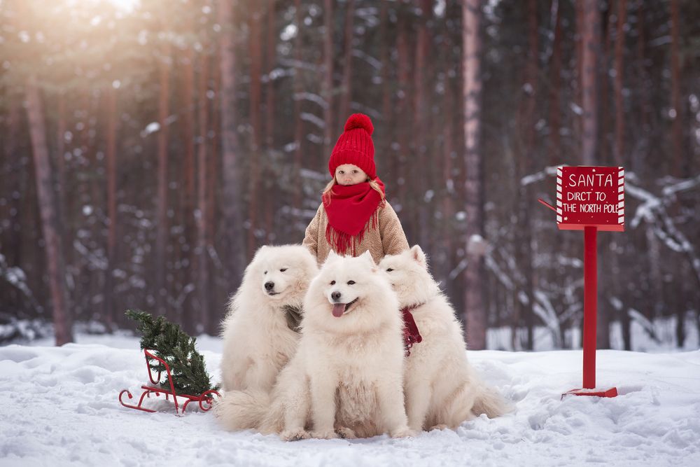 Photograph by Вероника Алатырева
