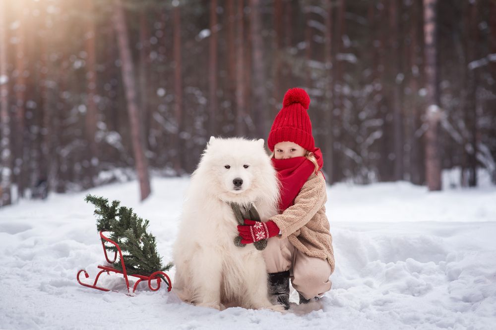 Photograph by Вероника Алатырева