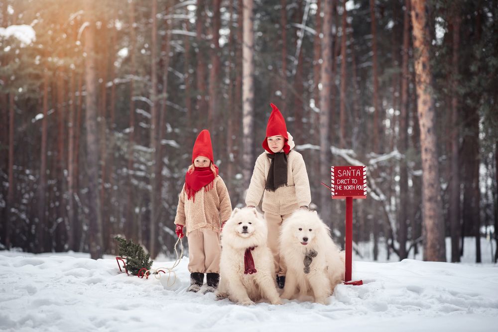 Photograph by Вероника Алатырева
